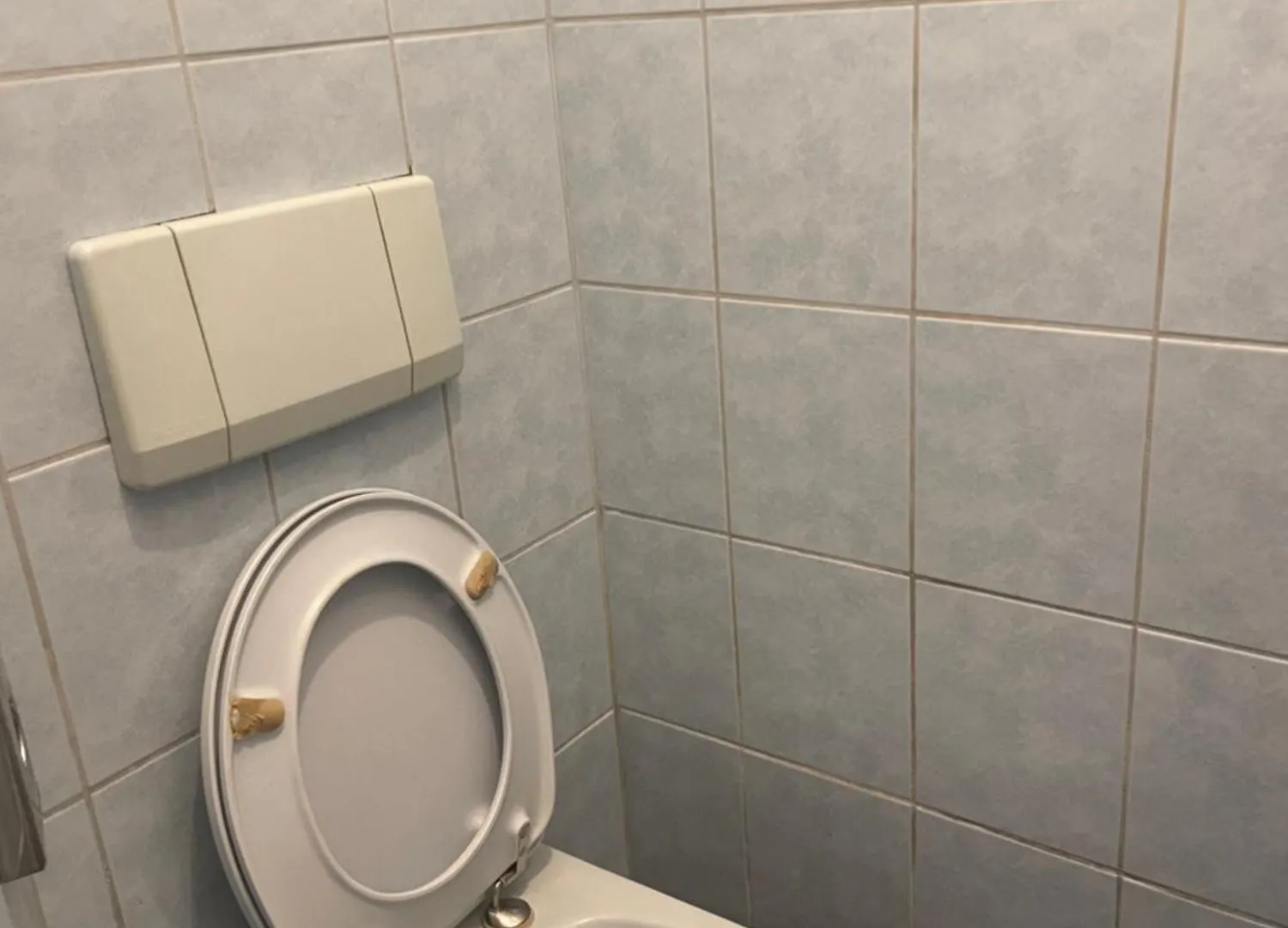 Homestay Schoepfwerk Hostel Vienna Austria
